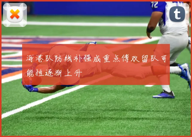 海港队防线补强成重点傅欢留队可能性逐渐上升