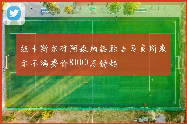 纽卡斯尔对阿森纳接触吉马良斯表示不满要价8000万镑起