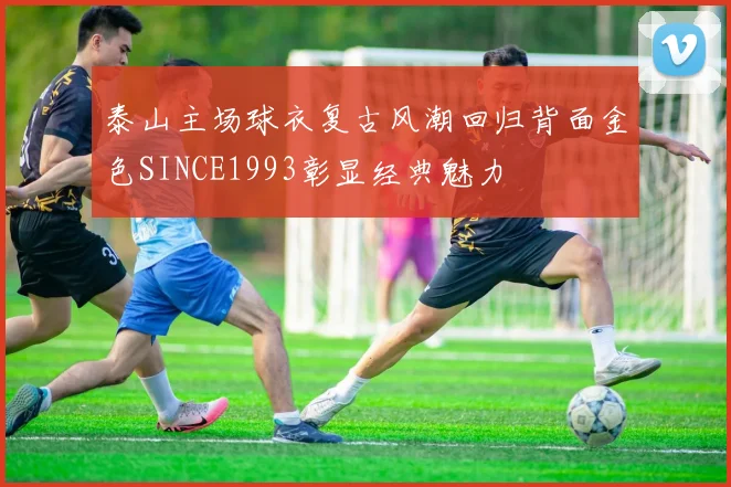 泰山主场球衣复古风潮回归背面金色SINCE1993彰显经典魅力
