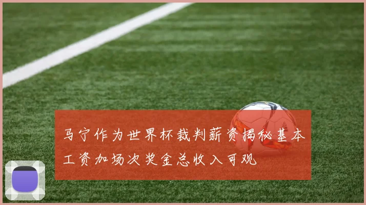 马宁作为世界杯裁判薪资揭秘基本工资加场次奖金总收入可观