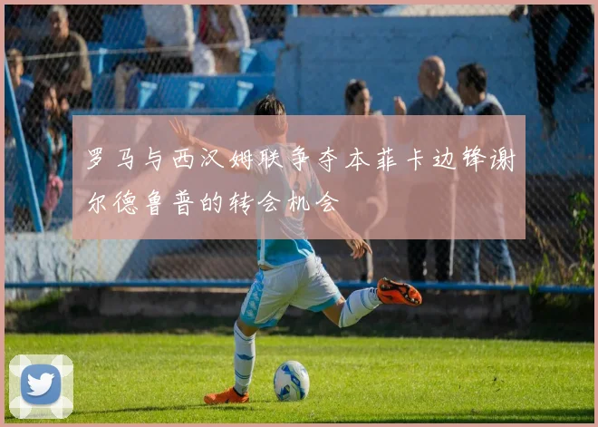 罗马与西汉姆联争夺本菲卡边锋谢尔德鲁普的转会机会