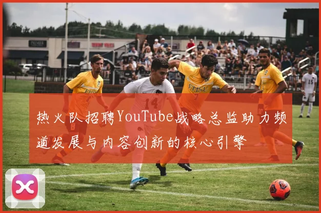 热火队招聘YouTube战略总监助力频道发展与内容创新的核心引擎